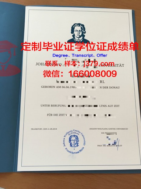 法兰克福造型艺术学院毕业证外壳(法兰克福dax)