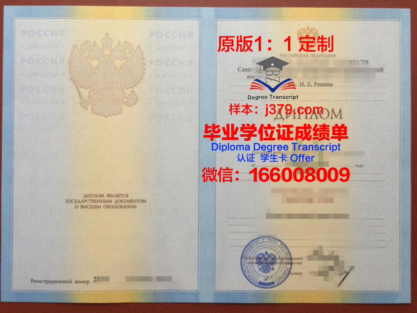沙德林斯克国立师范学院成绩单:一份蕴含俄罗斯教育精髓的证书