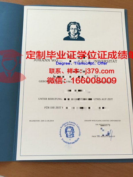 法兰克福造型艺术学院几年可以毕业证(法兰克福dax)