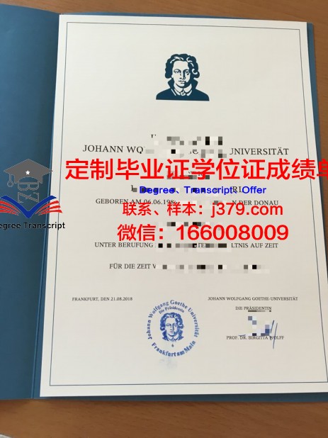 法兰克福造型艺术学院毕业证(法兰克福国立艺术学院)