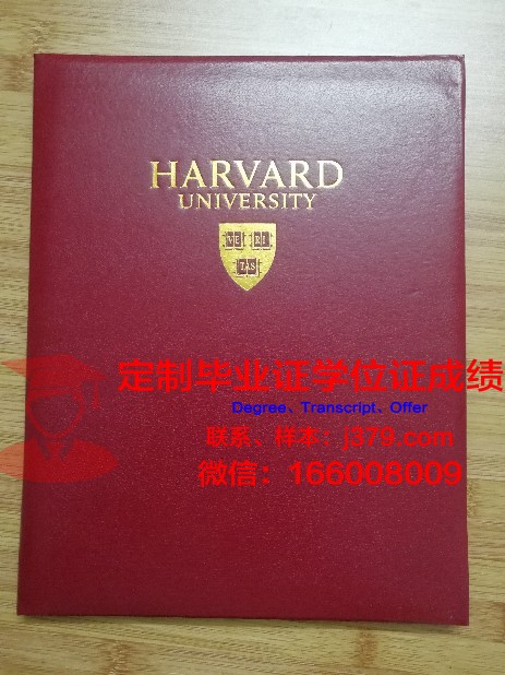 瓦尔纳自由大学毕业证壳子