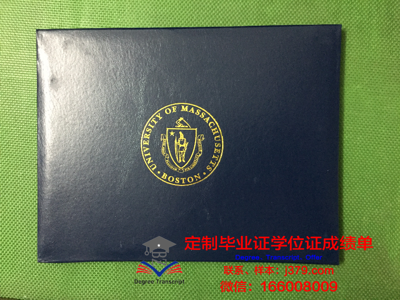 麻省理工大学交换生毕业证(麻省理工大学毕业服)