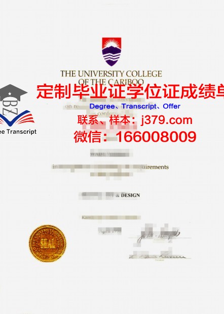 俄罗斯科学院合成高分子材料研究所硕士毕业证书样本