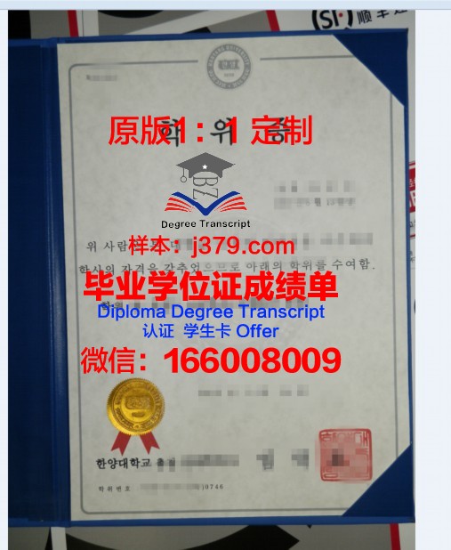 鸣门教育大学学位证：开启国际教育之路的钥匙