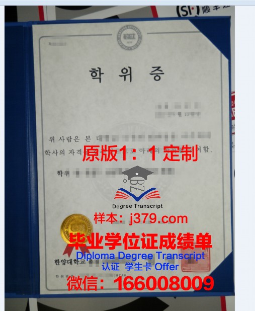 萨斯本科学位证：开启国际化教育新篇章