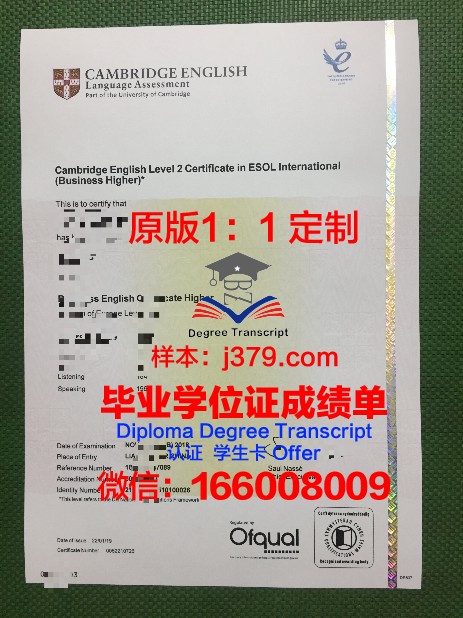 俄罗斯科学院西伯利亚分院考古与民族学研究所毕业证书图片模板