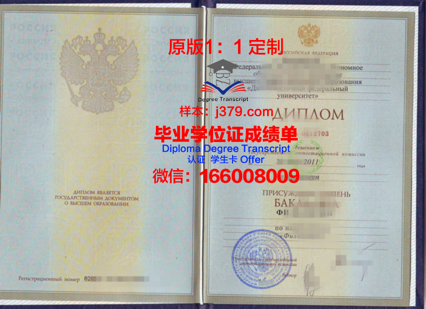 俄罗斯科学院远东研究所毕业证：跨文化学术交流的桥梁