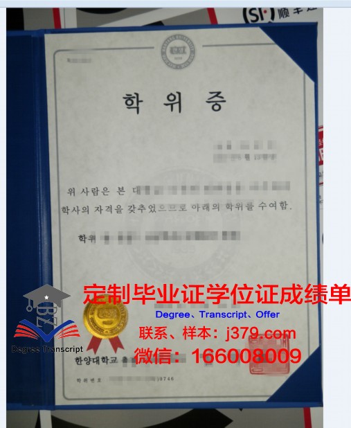 鸟取大学学位证:一张跨越国界的学术通行证