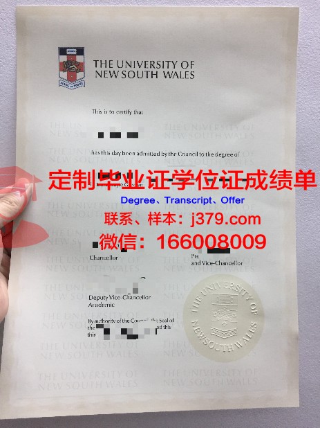 麦大毕业证：一张承载梦想与荣誉的纸