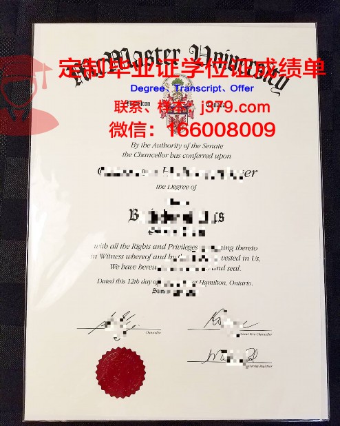 麦克马斯特大学毕业证丢失怎么补办