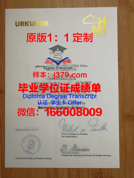 汉堡港口城市大学博士毕业证书(港城大博士第一轮offer)