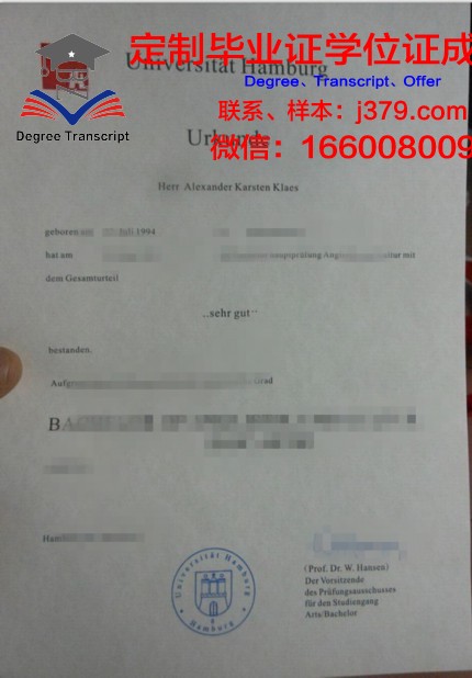 汉堡大学证书成绩单(汉堡大学本科申请条件)