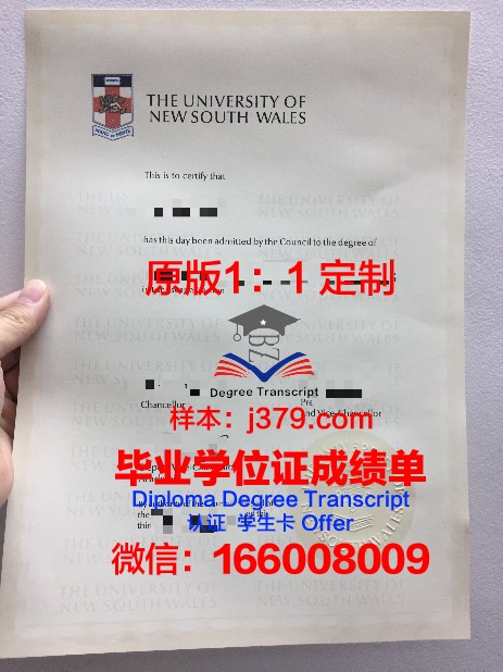 班贝格大学毕业证成绩单:一份承载荣誉与回忆的证明