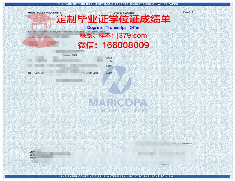韦理工成绩单：一张承载梦想与努力的纸